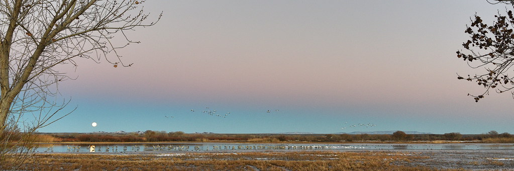 Belt of Venus and Shadow of Earth