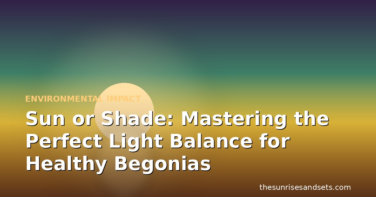 Sun or Shade: Mastering the Perfect Light Balance for Healthy Begonias